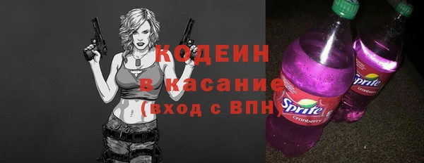 стаф Богородск