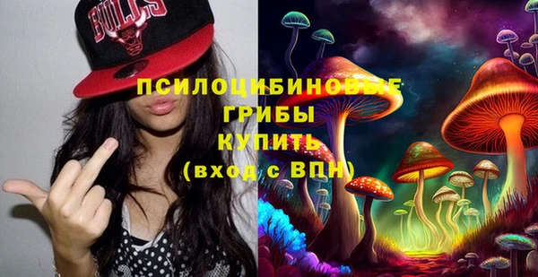 стаф Богородск